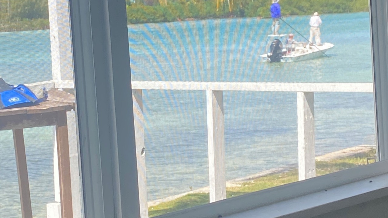 Photo of Others in Andros Island
