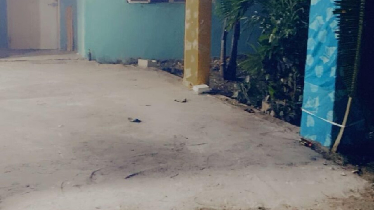 Photo of Outdoor in Andros Island
