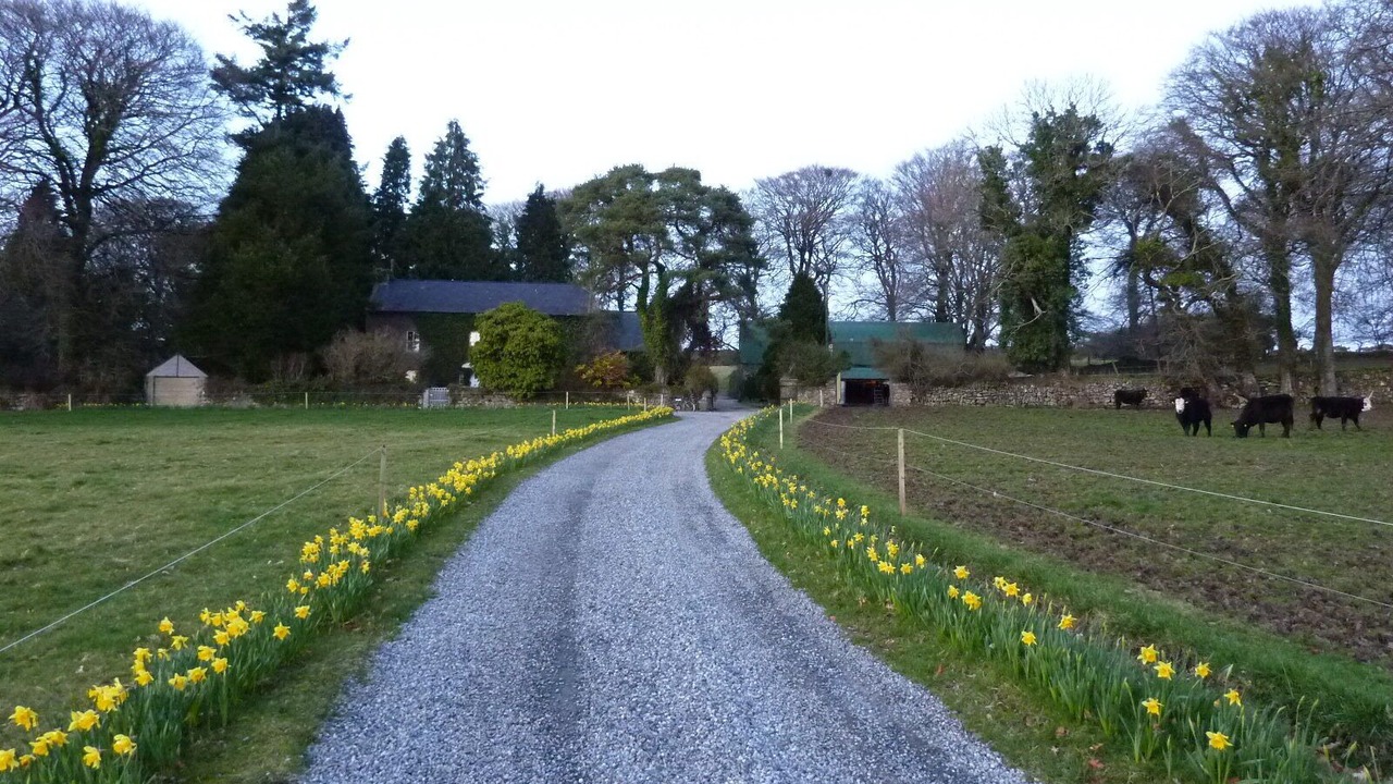Photo of Outdoor in The Rower