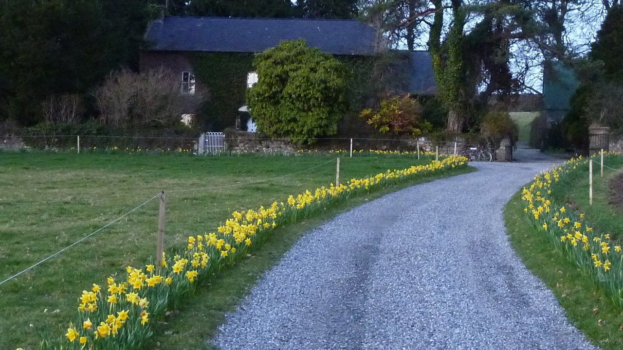 Photo of Outdoor in The Rower