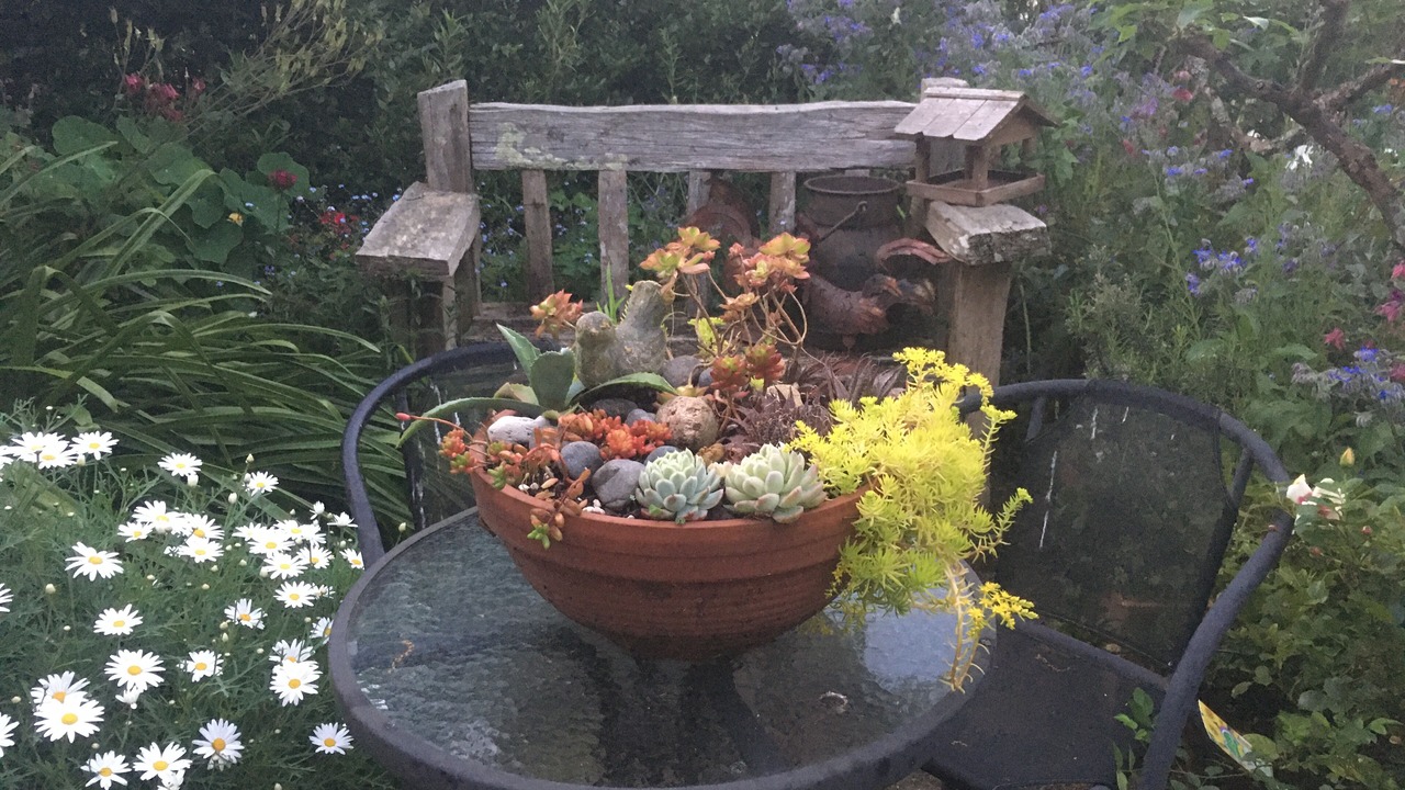 Photo of Outdoor in Claudelands