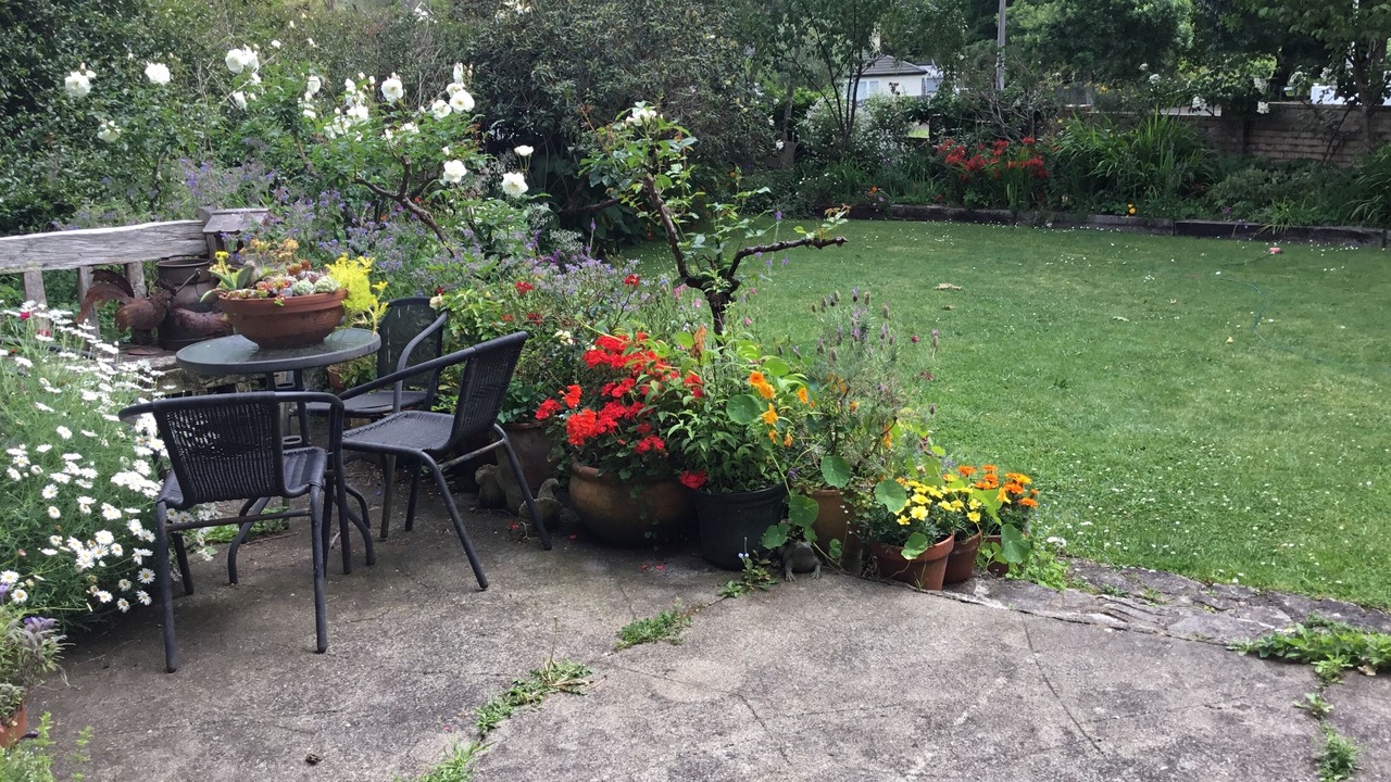 Photo of Outdoor in Claudelands