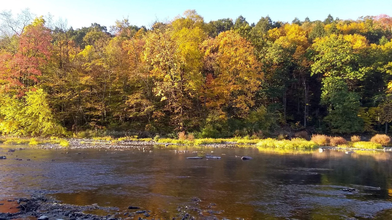 Photo of Others in Swengel