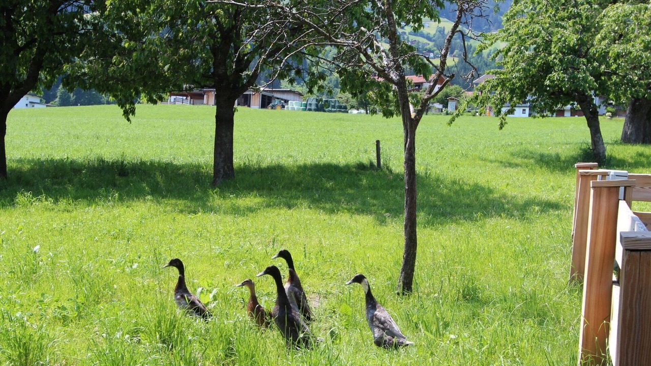 Photo of Others in Kapfing