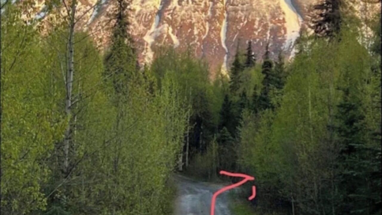 Photo of Others in Cooper Landing
