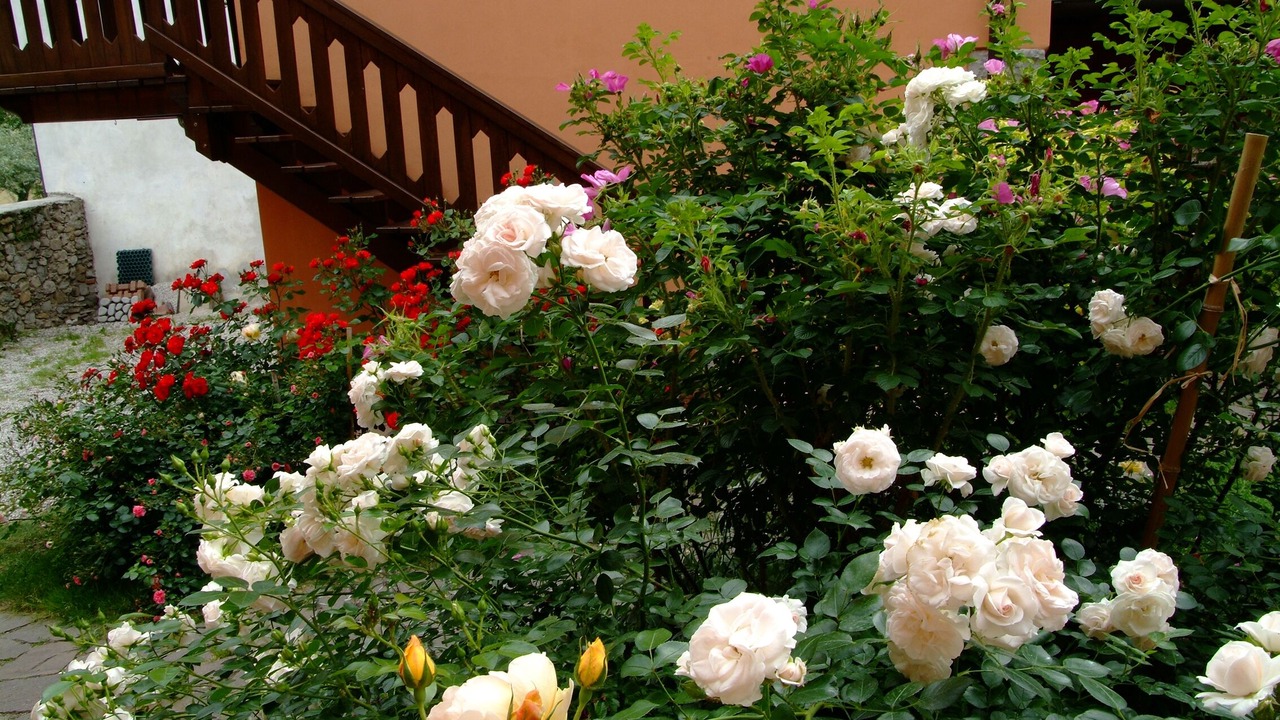 Photo of Outdoor in Nogarolo