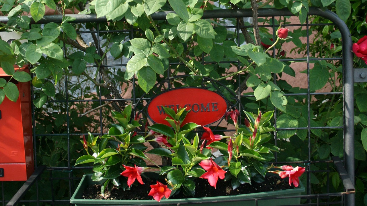 Photo of Outdoor in Nogarolo