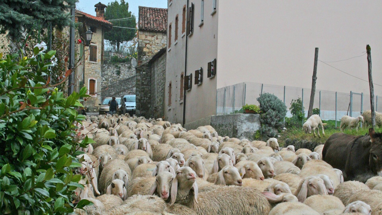Photo of Outdoor in Nogarolo