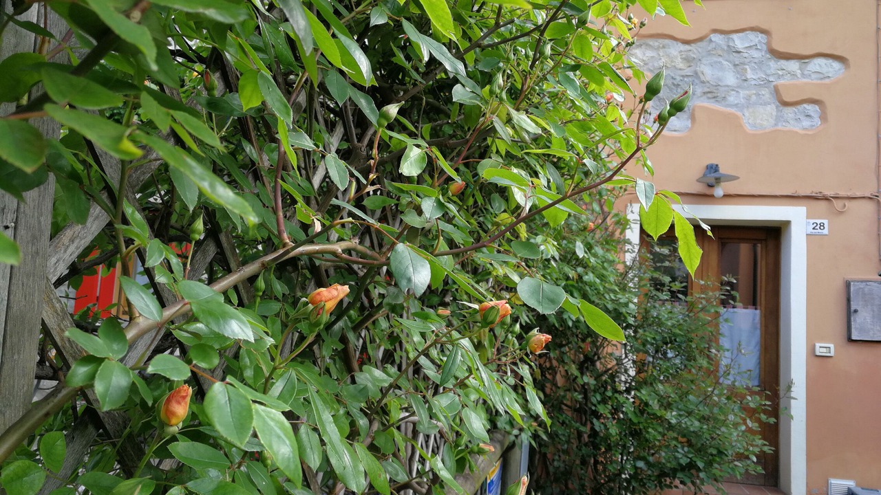 Photo of Outdoor in Nogarolo
