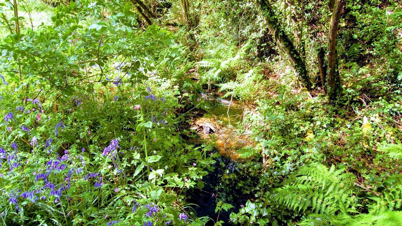 Photo of Others in Plomodiern