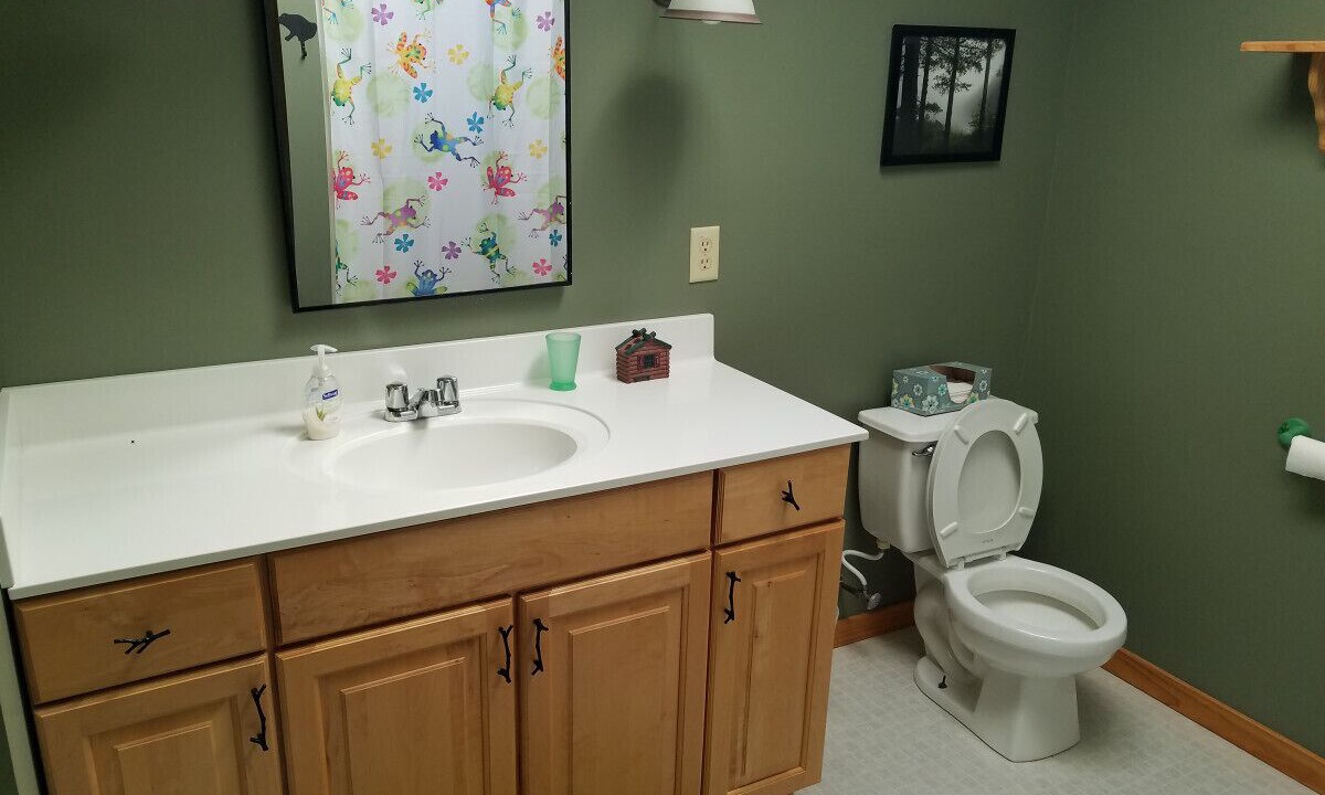 Photo of Bathroom in Forest County