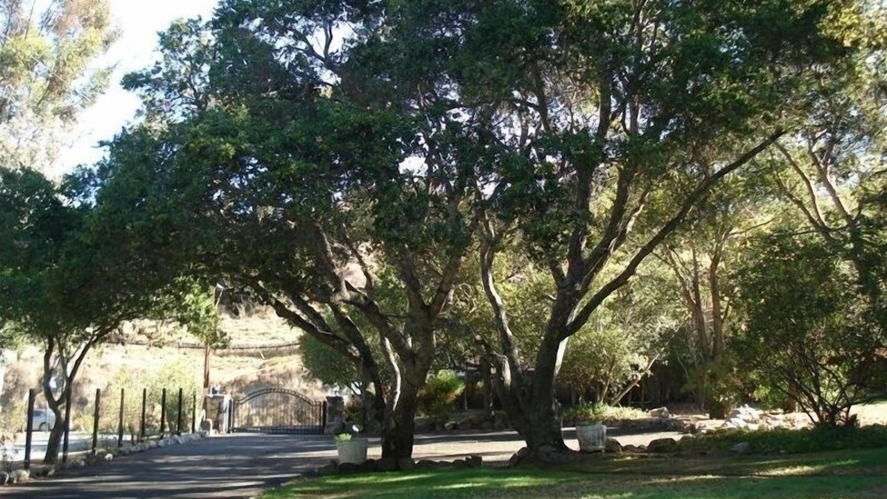 Photo of Others in Salinas