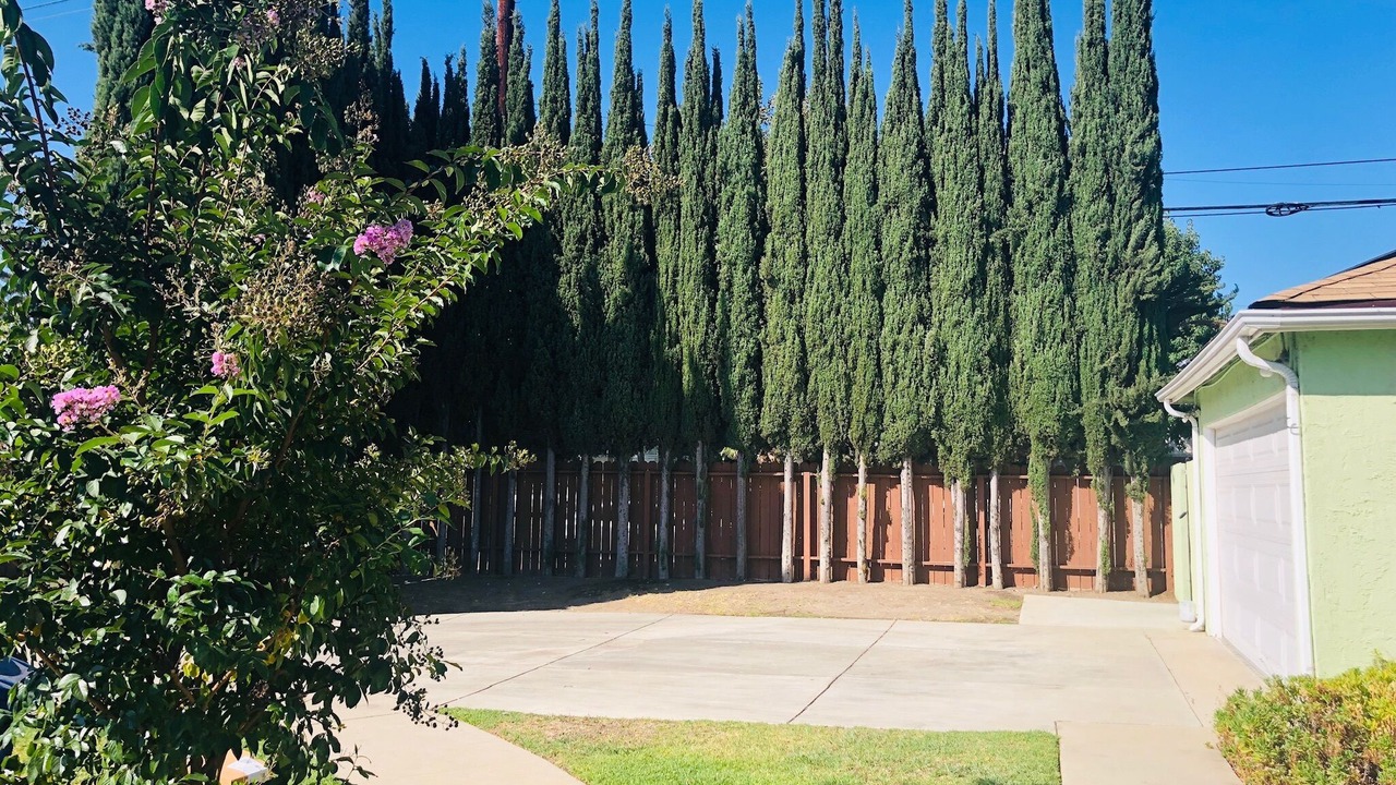 Photo of Outdoor in Encino