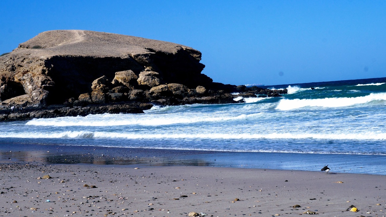 Photo of Others in Muscat