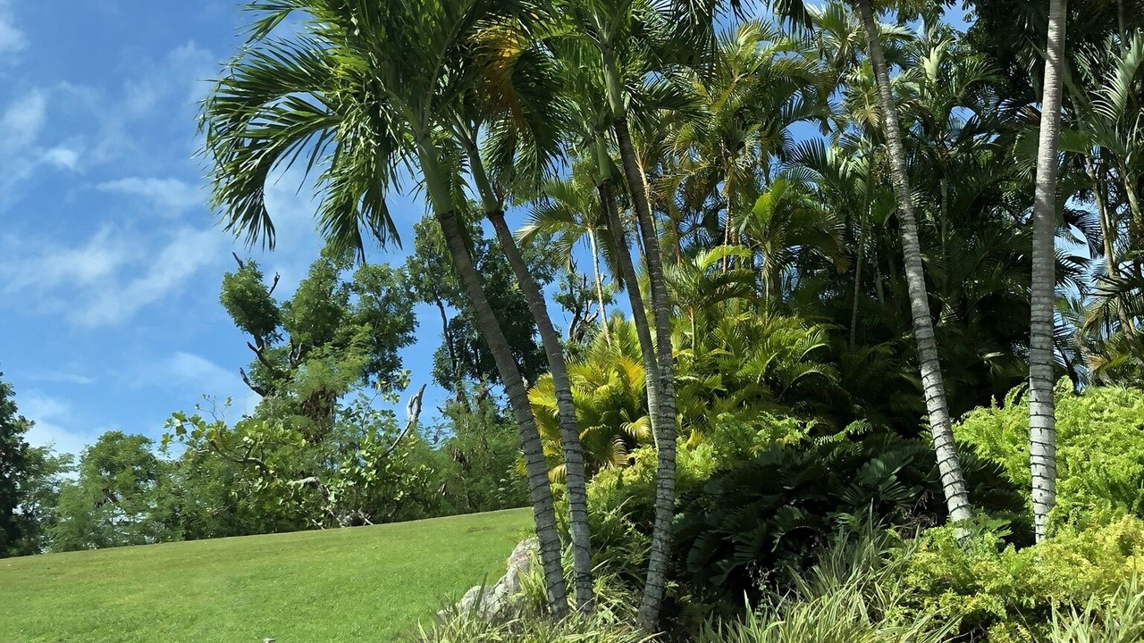 Photo of Outdoor in Candelero Abajo