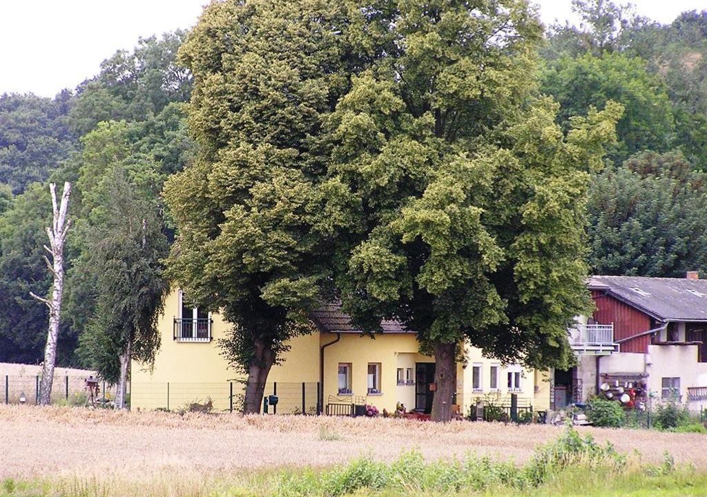 Photo of Outdoor in Gappenach