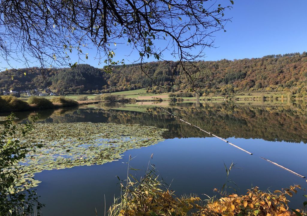 Photo of Others in Manderscheid