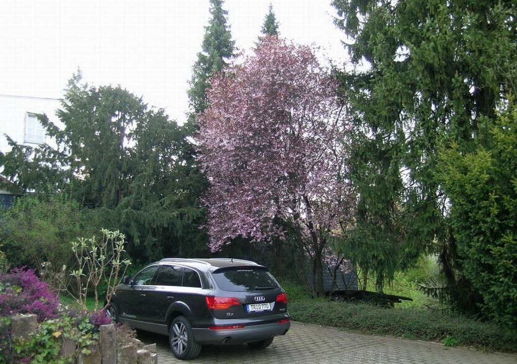 Photo of Outdoor in Manderscheid