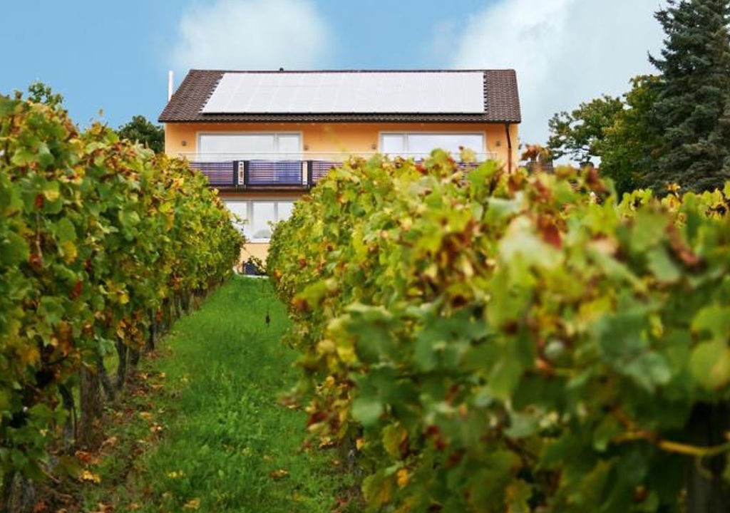 Photo of Outdoor in Bad Duerkheim