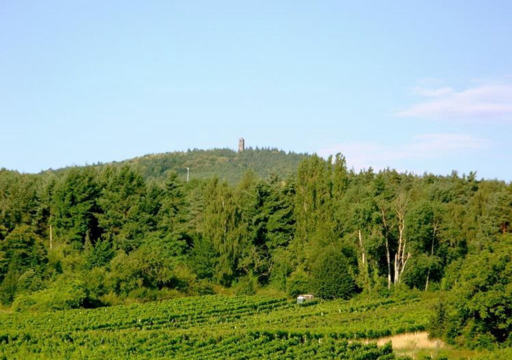 Photo of Others in Bad Duerkheim
