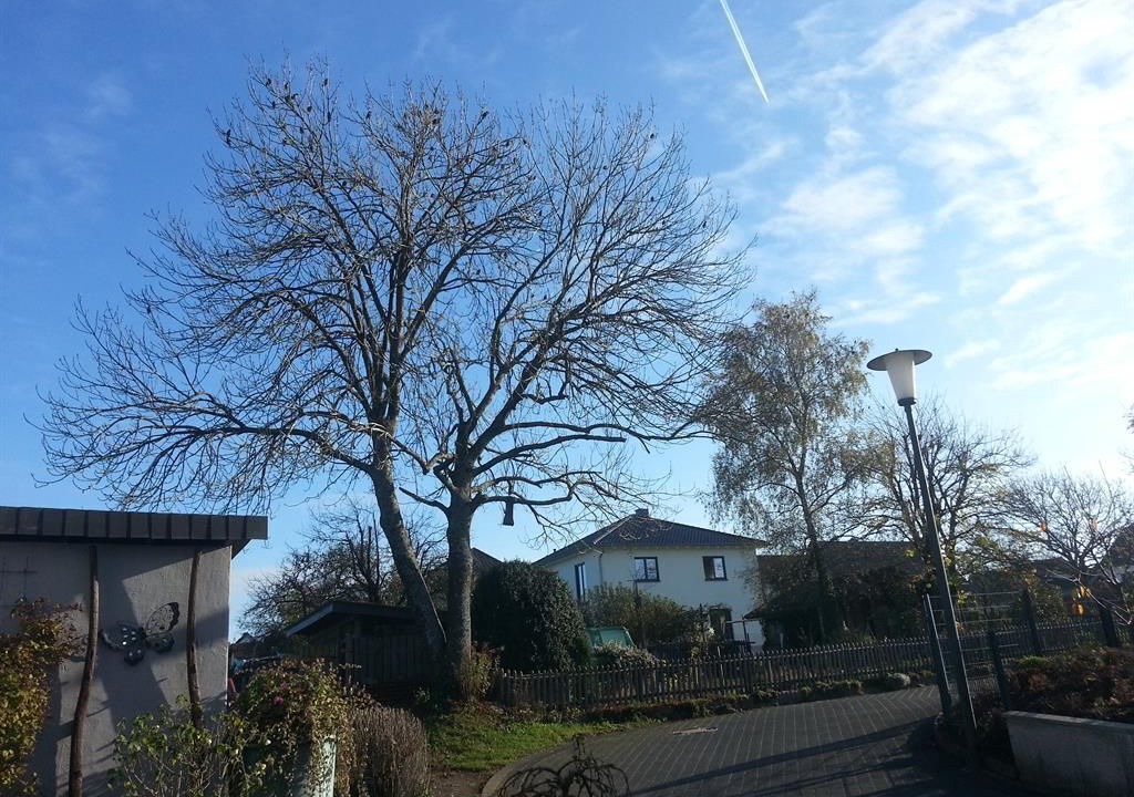 Photo of Outdoor in Laufeld