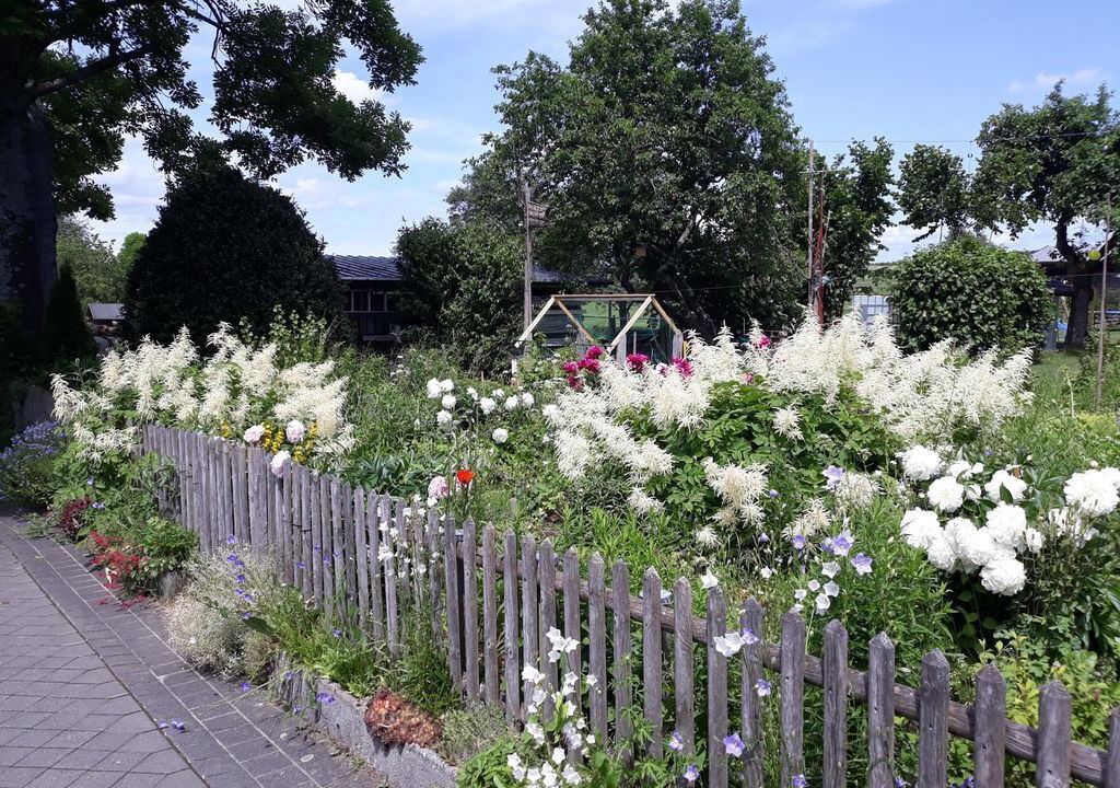 Photo of Outdoor in Laufeld