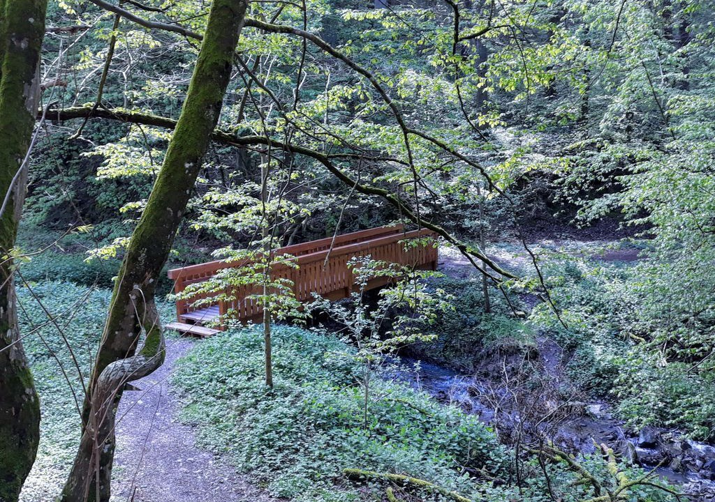 Photo of Outdoor in Laufeld