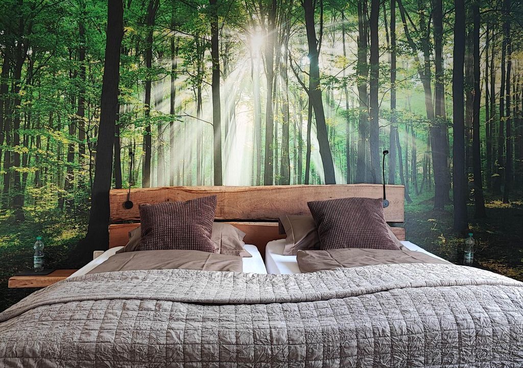 Photo of Bedroom in Meckel