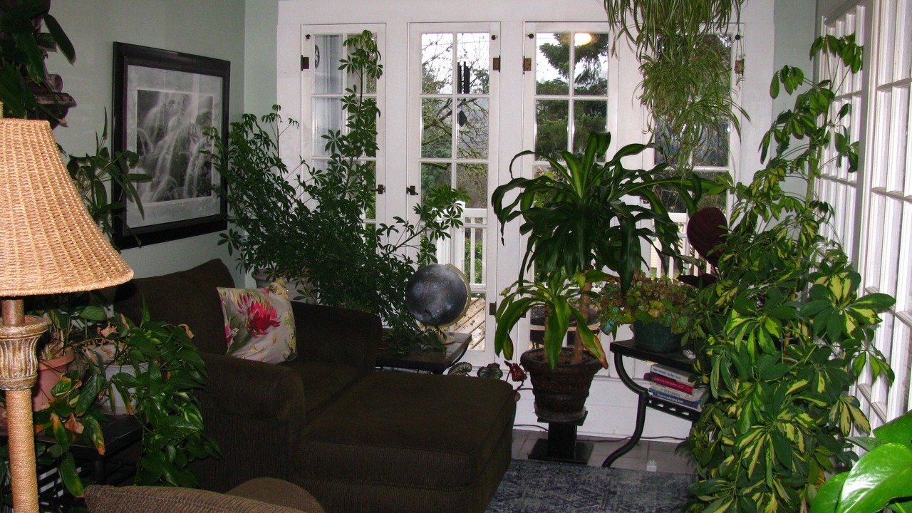 Photo of Outdoor in Roseburg