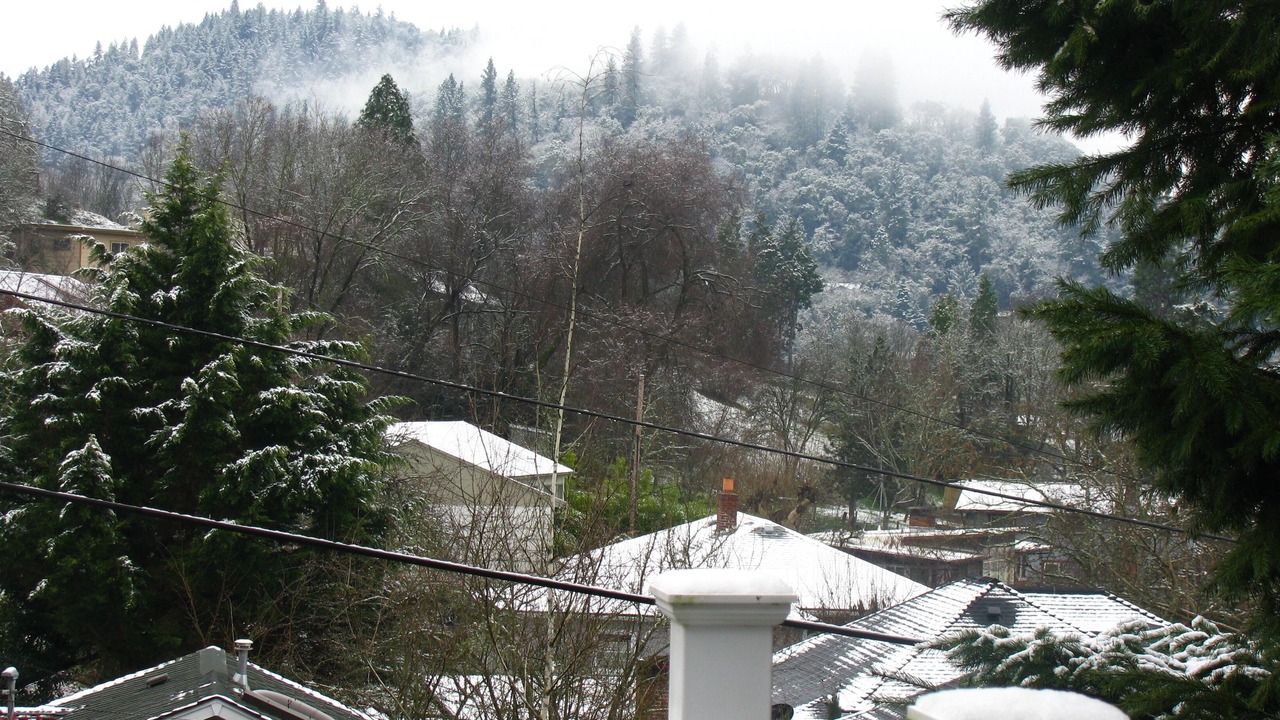 Photo of Outdoor in Roseburg