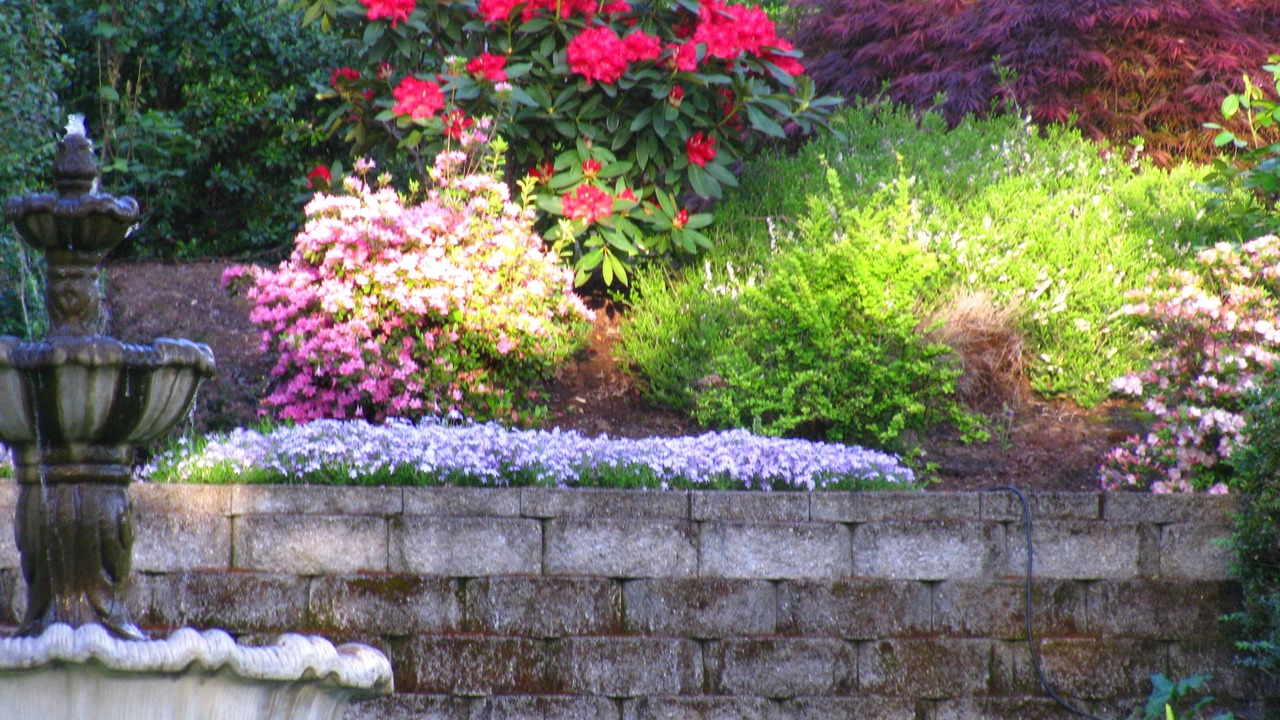 Photo of Outdoor in Roseburg