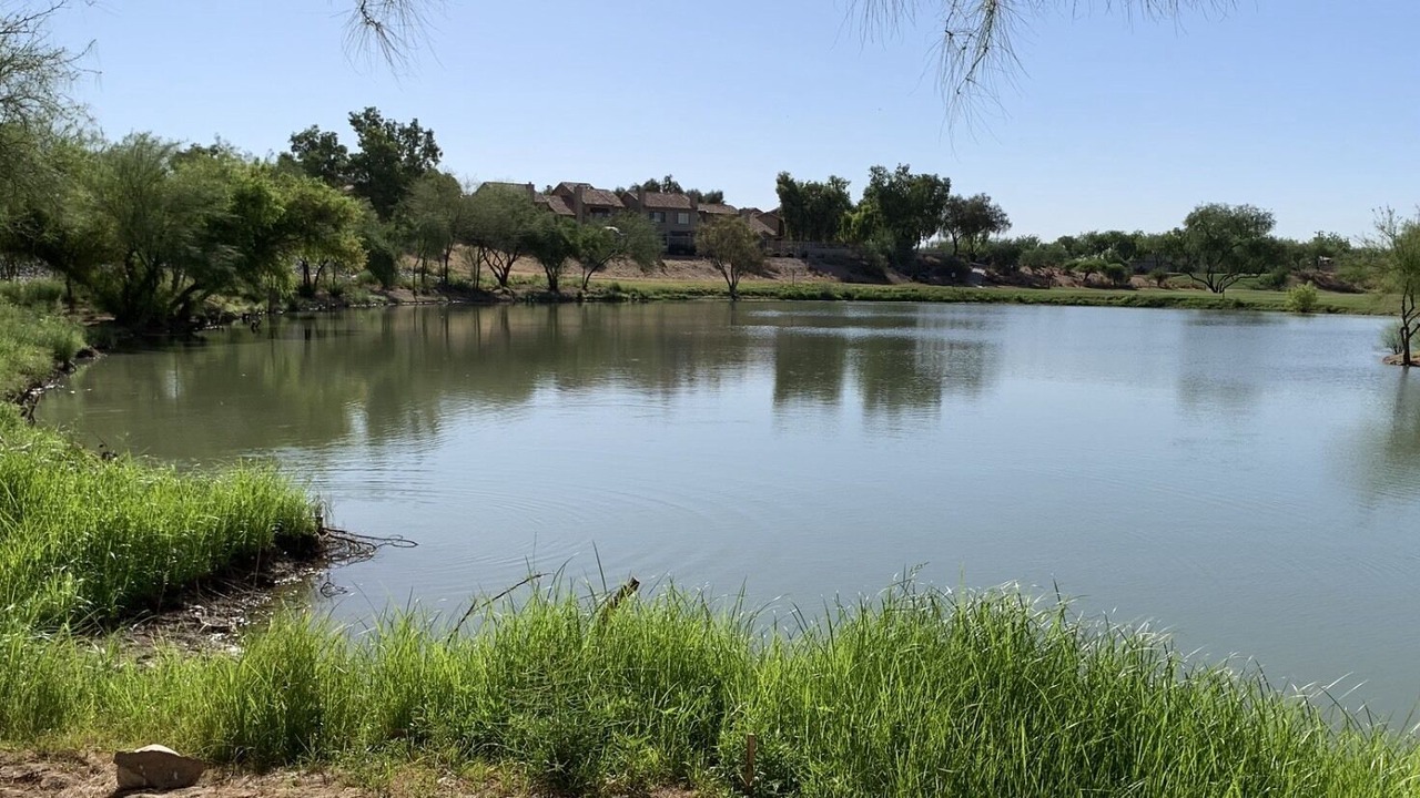 Photo of Outdoor in South Scottsdale