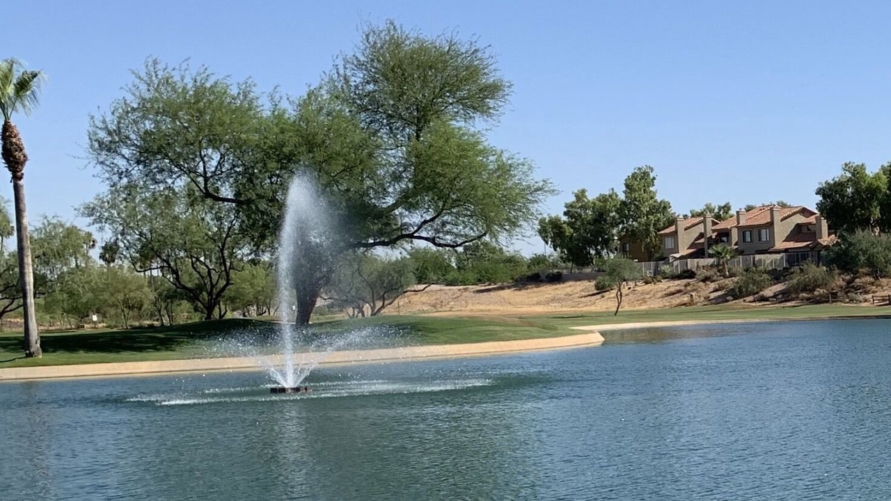 Photo of Others in South Scottsdale