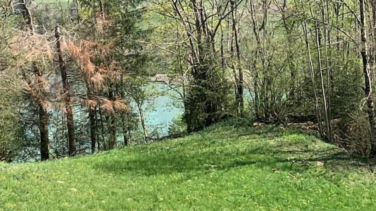 Photo of Outdoor in Rossiniere