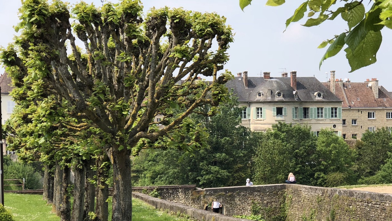 Photo of Outdoor in Falaise