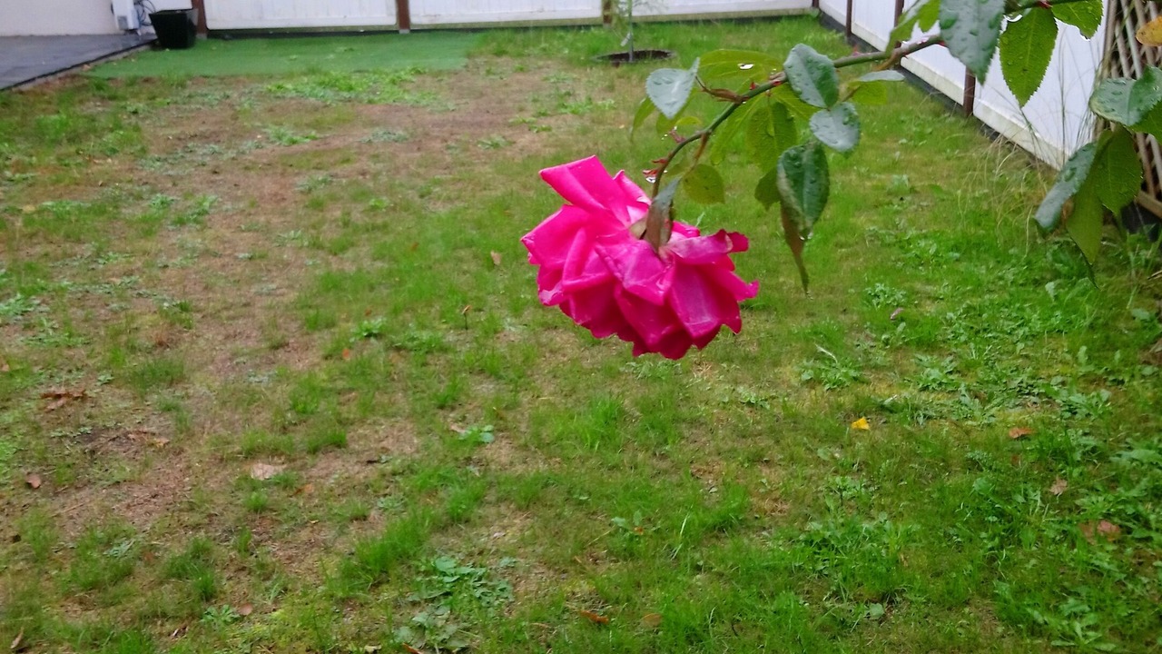 Photo of Outdoor in Parlow-Glambeck