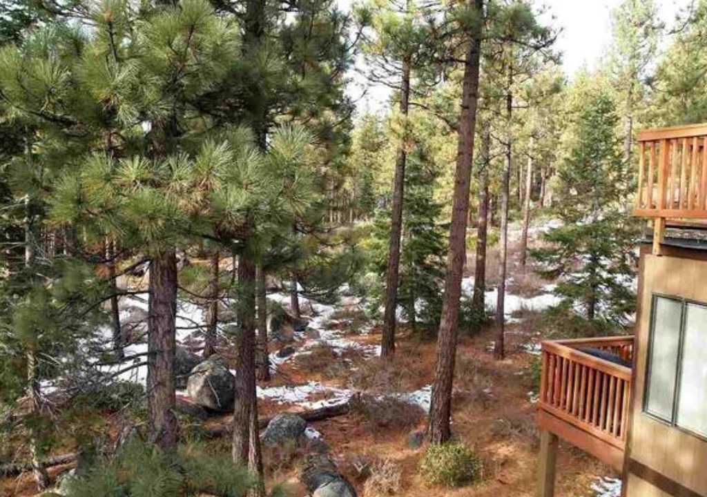 Photo of Others in Zephyr Cove