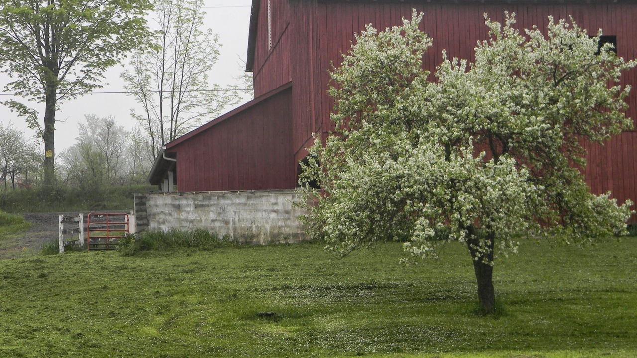 Photo of Outdoor in Bodines