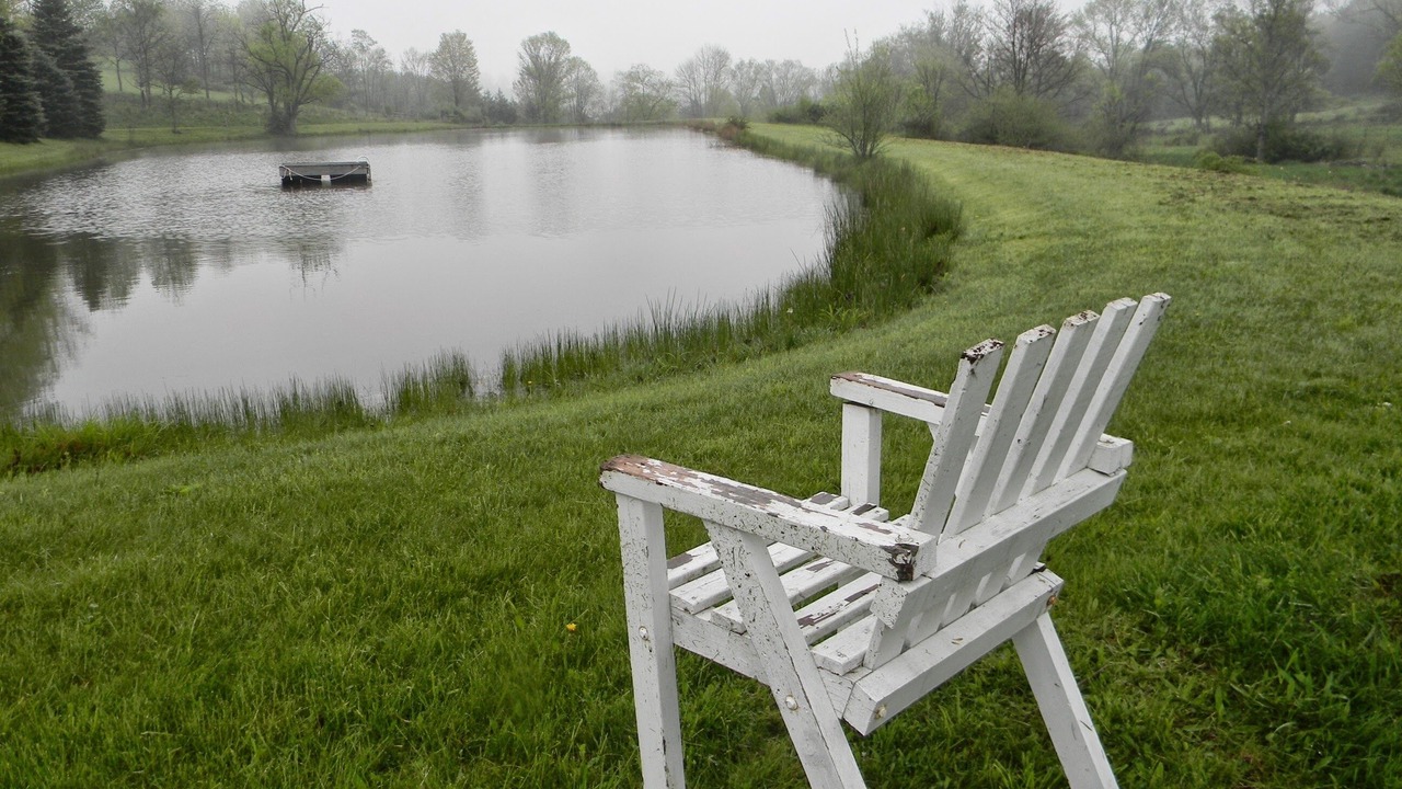 Photo of Outdoor in Bodines