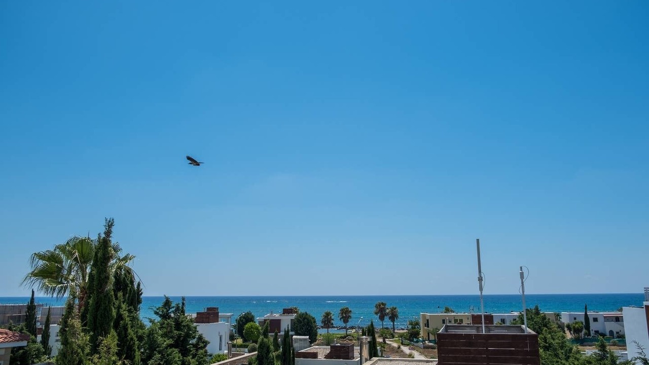 Photo of Outdoor in Paphos