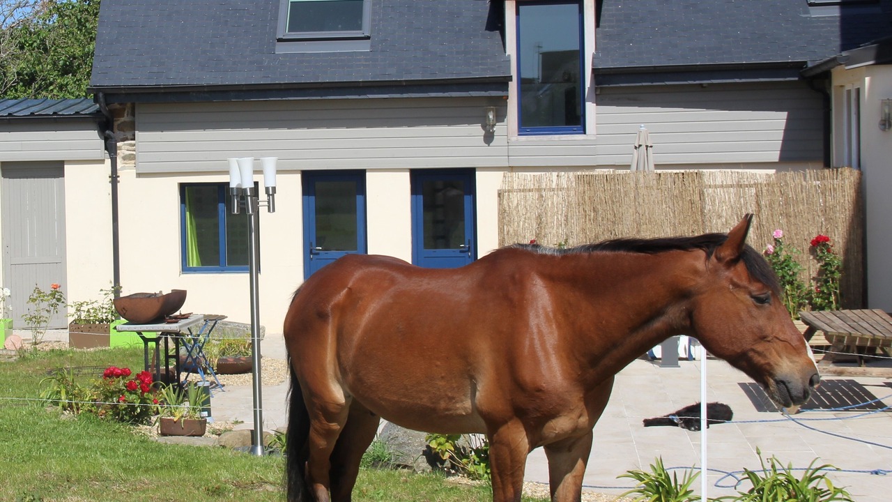 Photo of Outdoor in Binic-Etables-sur-Mer