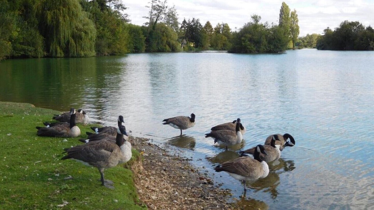 Photo of Outdoor in Sainte-Gemme-Moronval