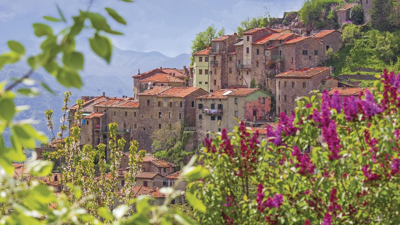 Photo of Others in Montefegatesi