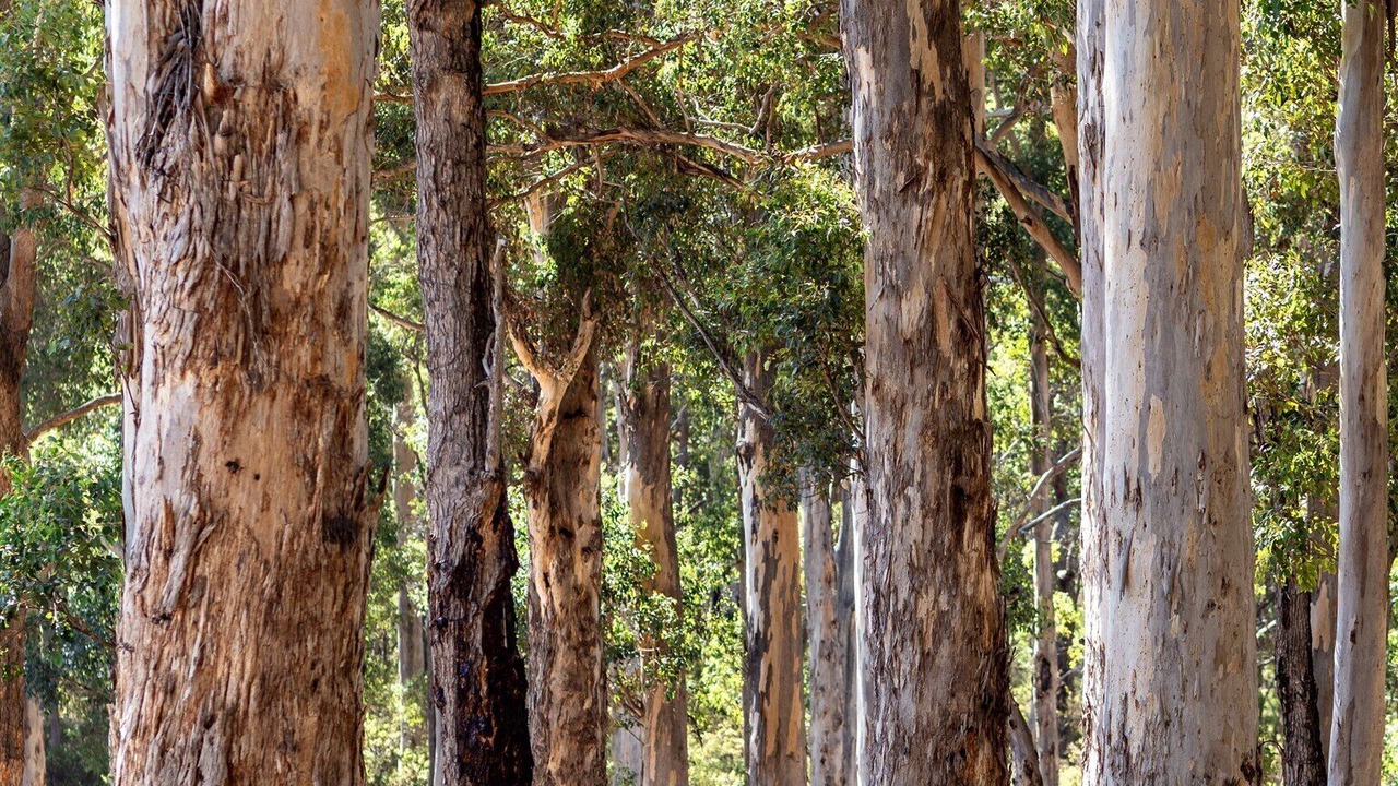 Photo of Others in Margaret River