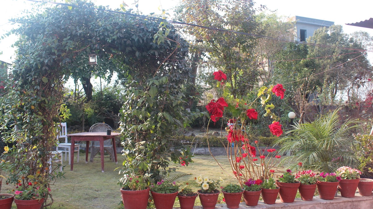 Photo of Outdoor in Dhapakhel