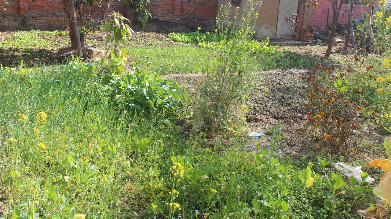 Photo of Outdoor in Dhapakhel