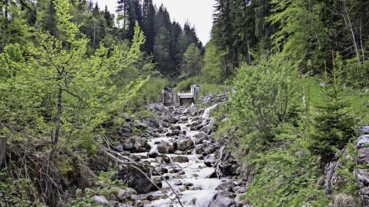 Photo of Others in Gauertal