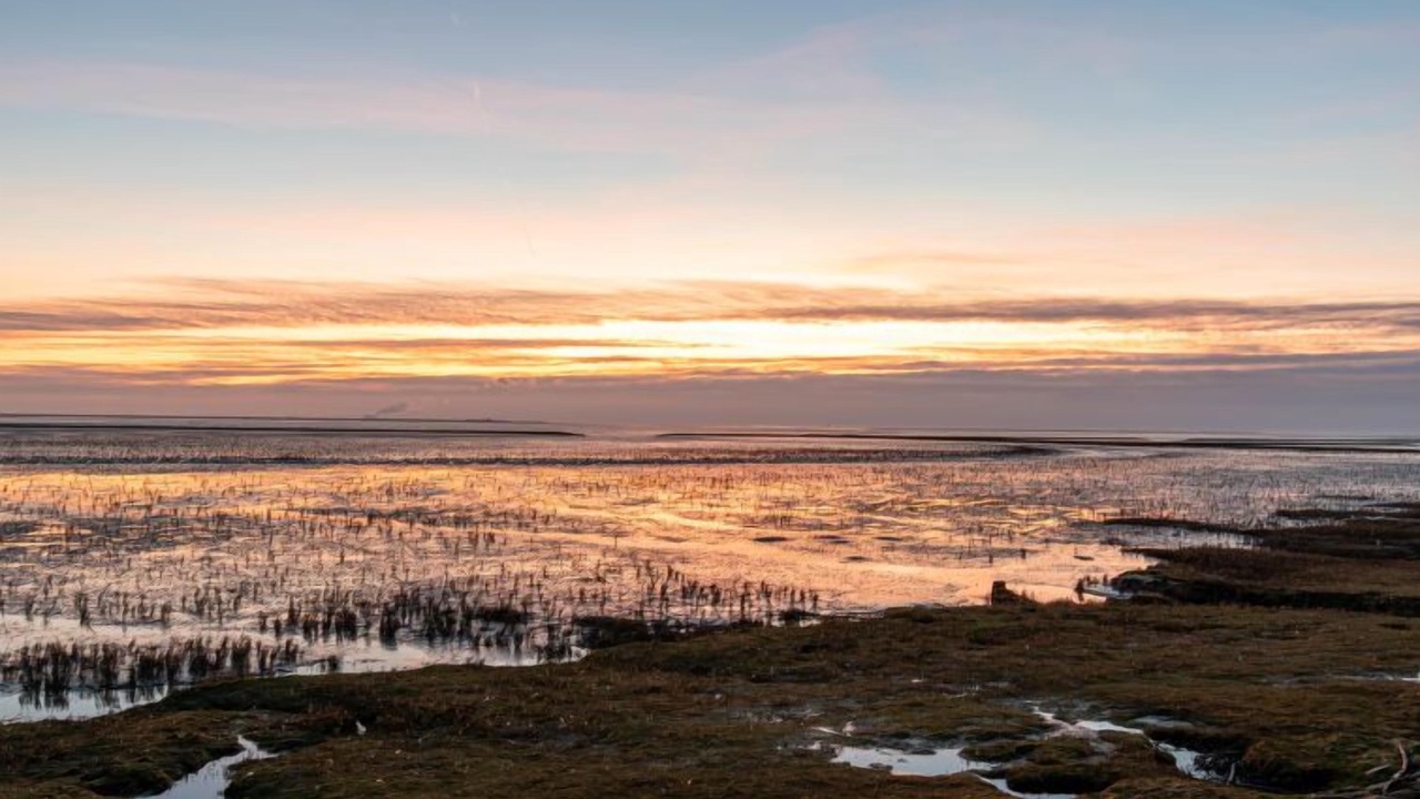 Photo of Others in Norddeich