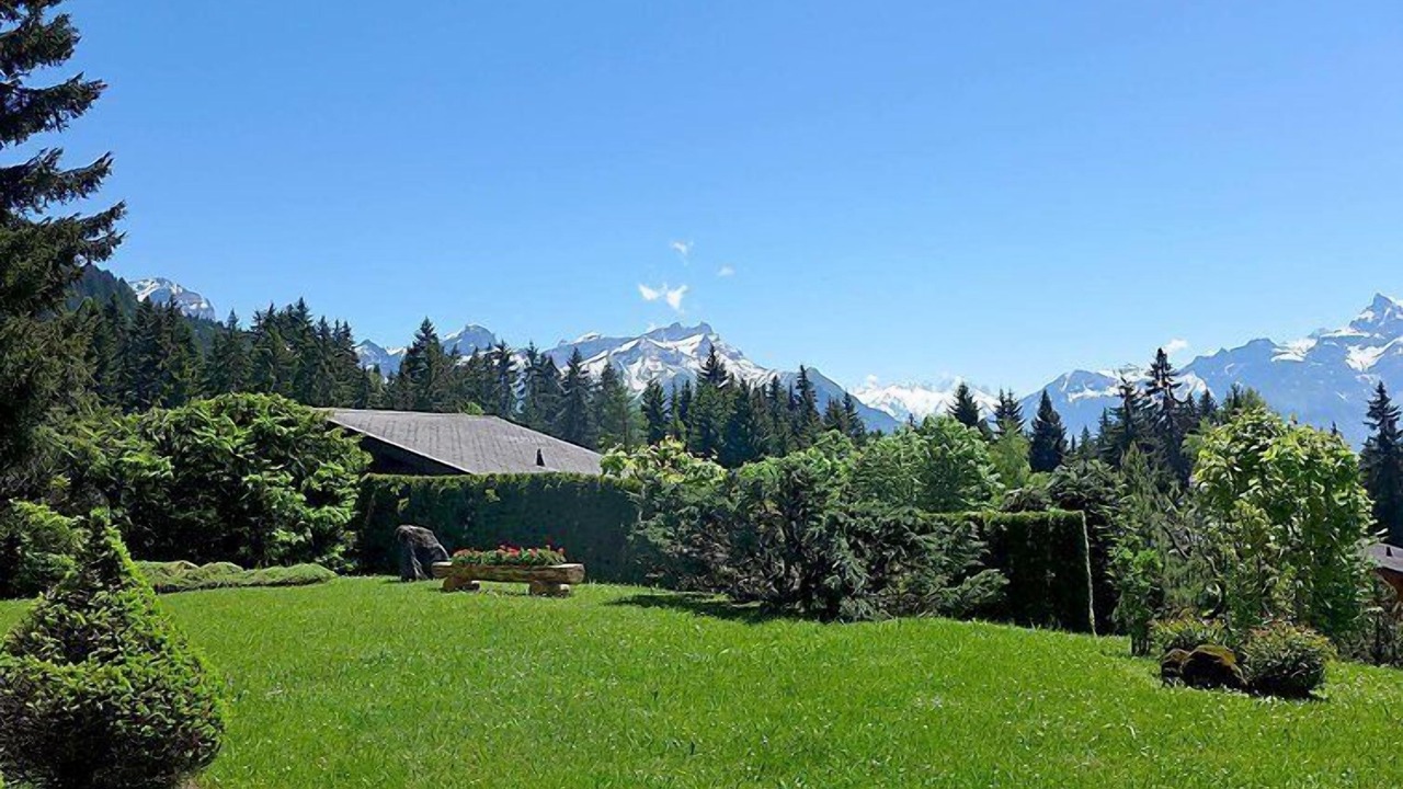 Photo of Others in Villars-sur-Ollon