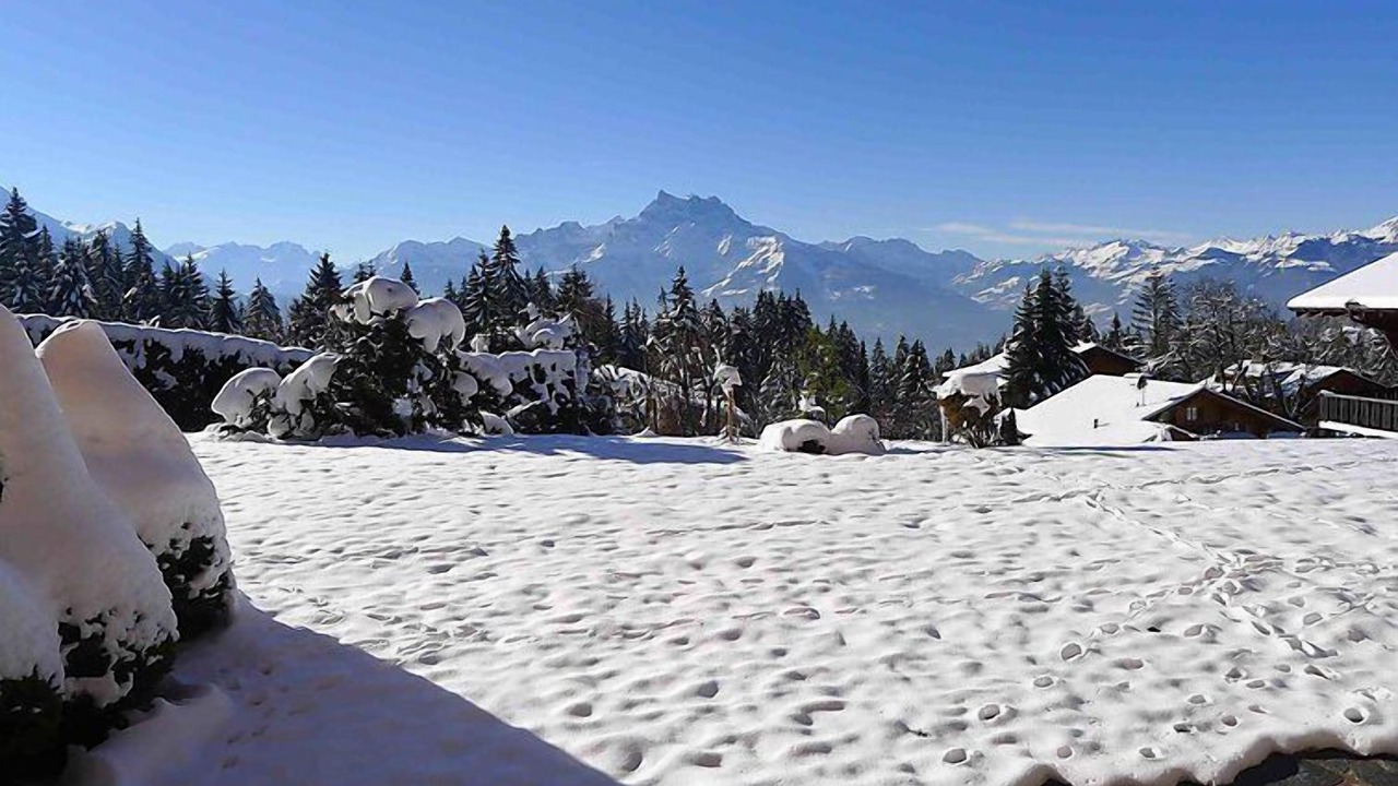 Photo of Others in Villars-sur-Ollon